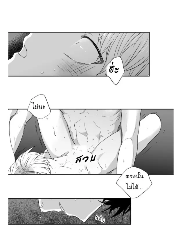 หน้า 16 จาก 40