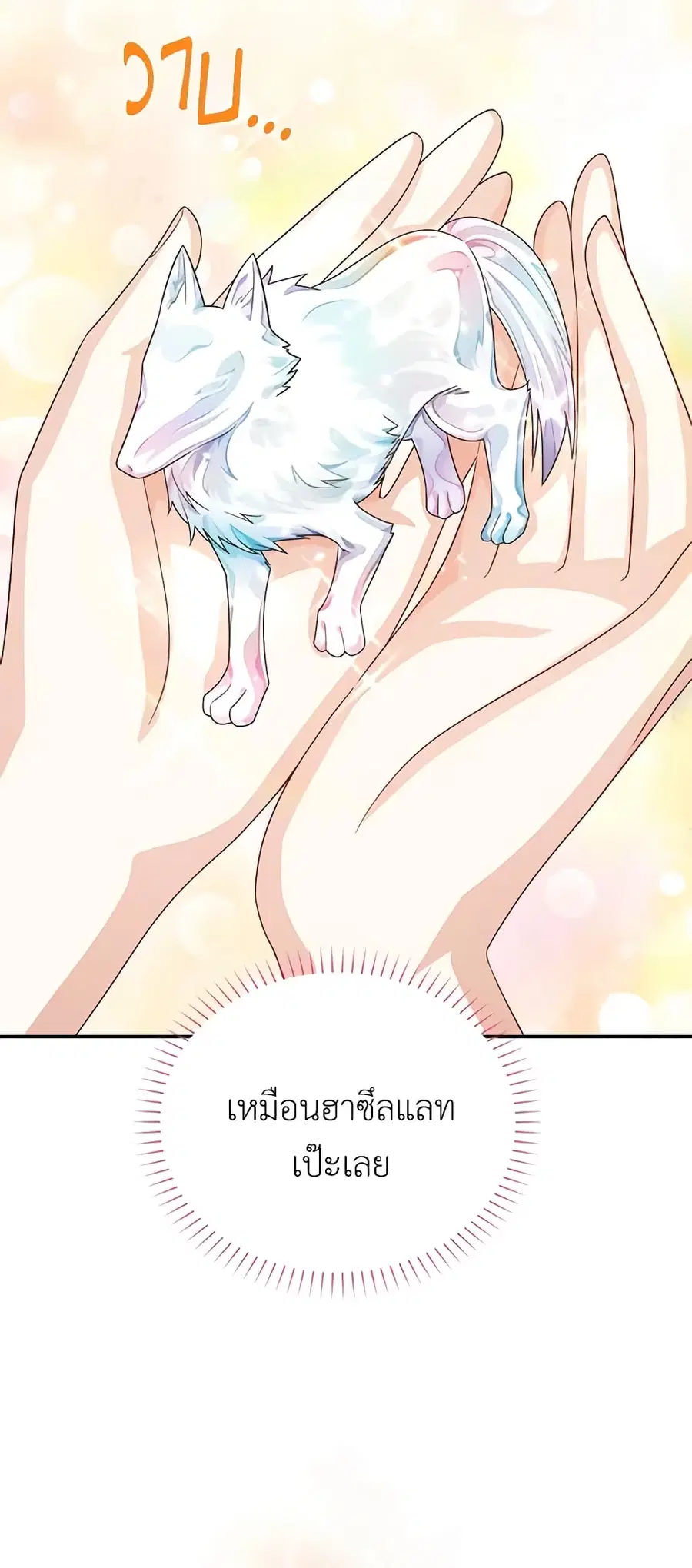 หน้า 22 จาก 47