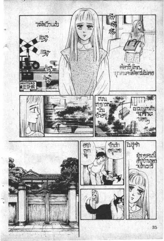 หน้า 35 จาก 213