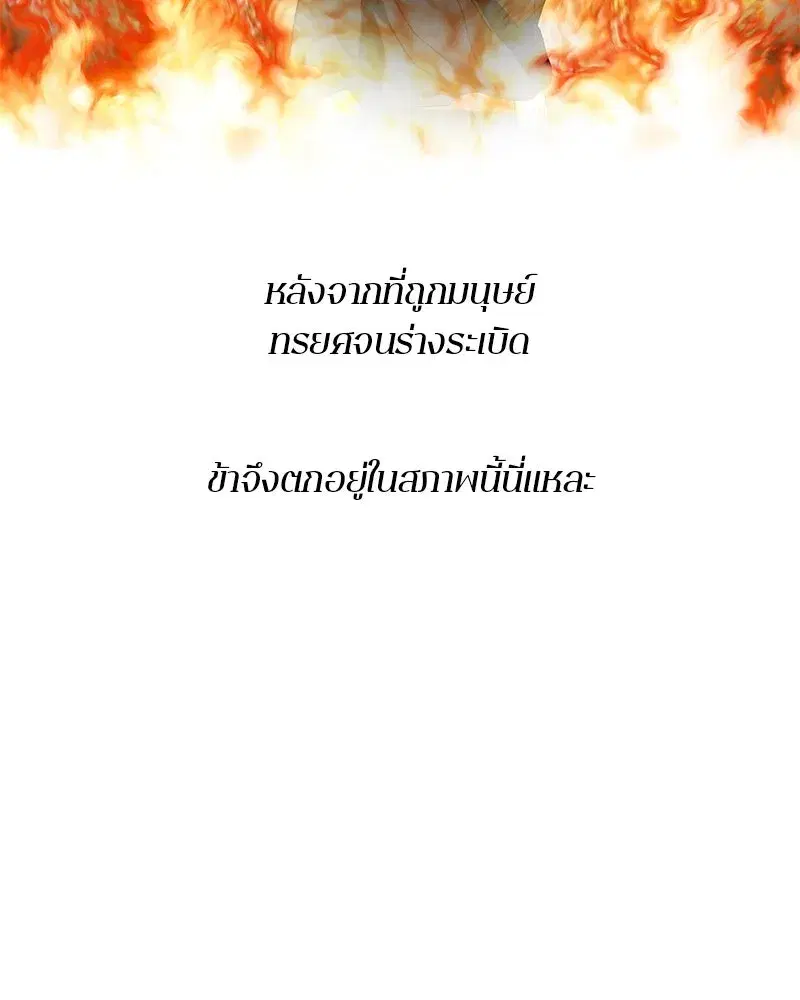 หน้า 145 จาก 195