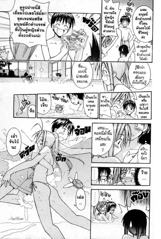 หน้า 14 จาก 20
