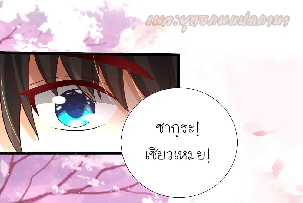 หน้า 11 จาก 40