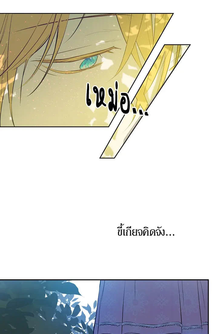 หน้า 20 จาก 81