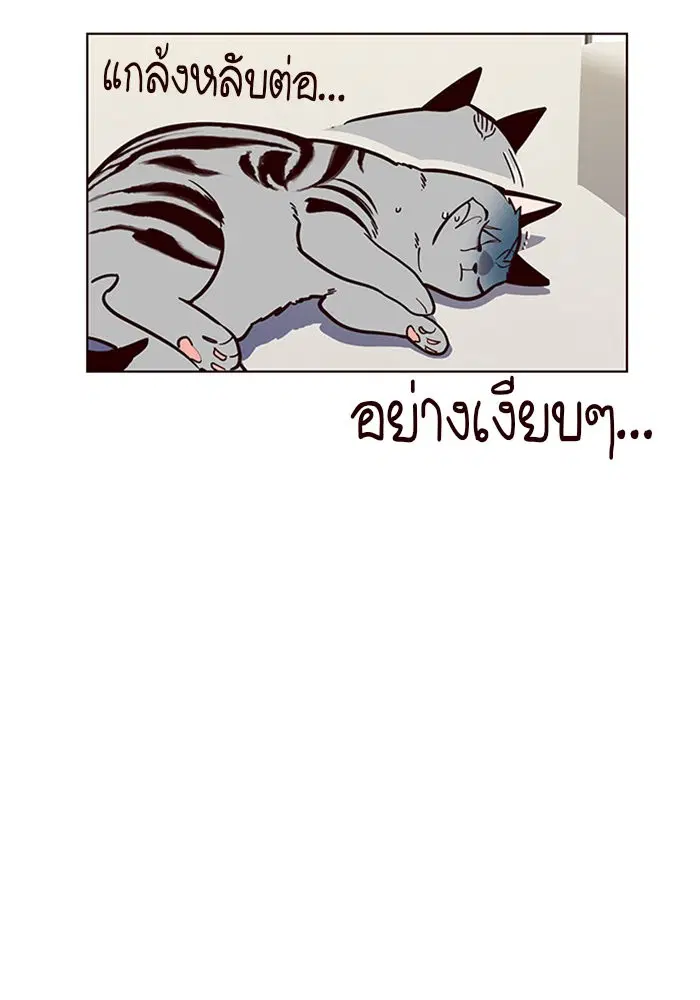 หน้า 28 จาก 90