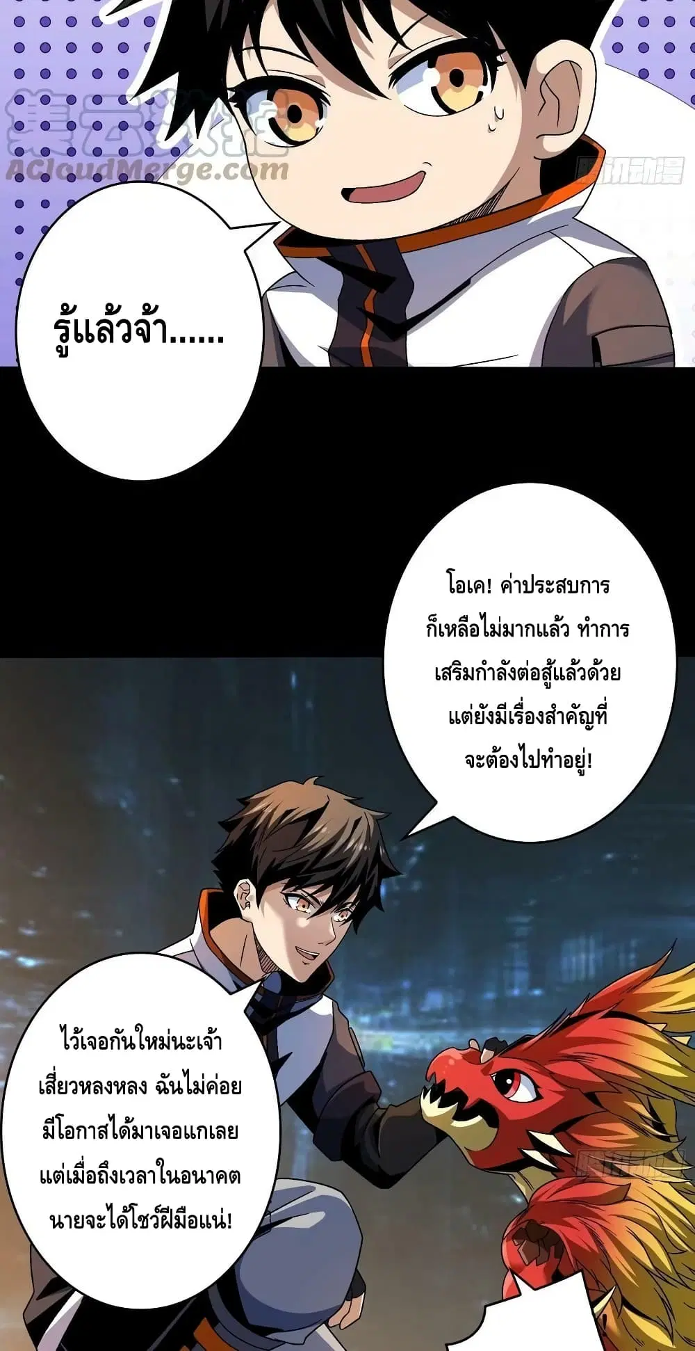 หน้า 31 จาก 42