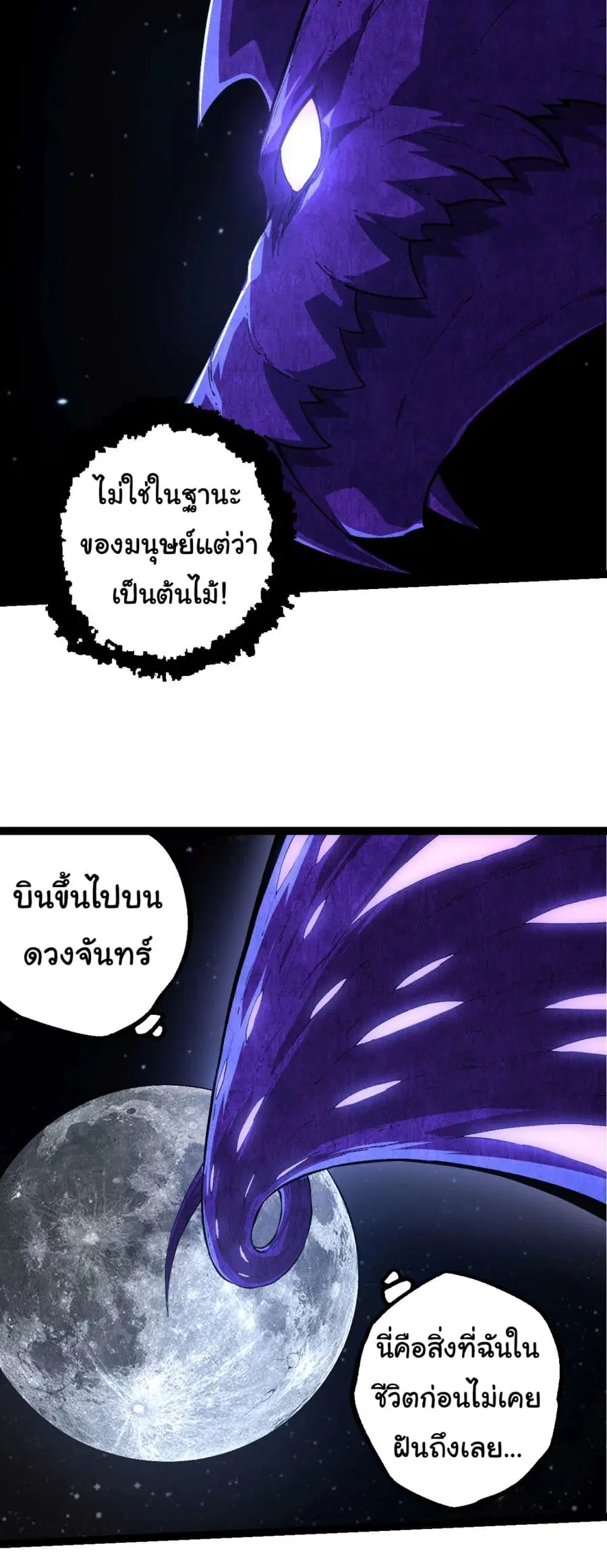 หน้า 14 จาก 36