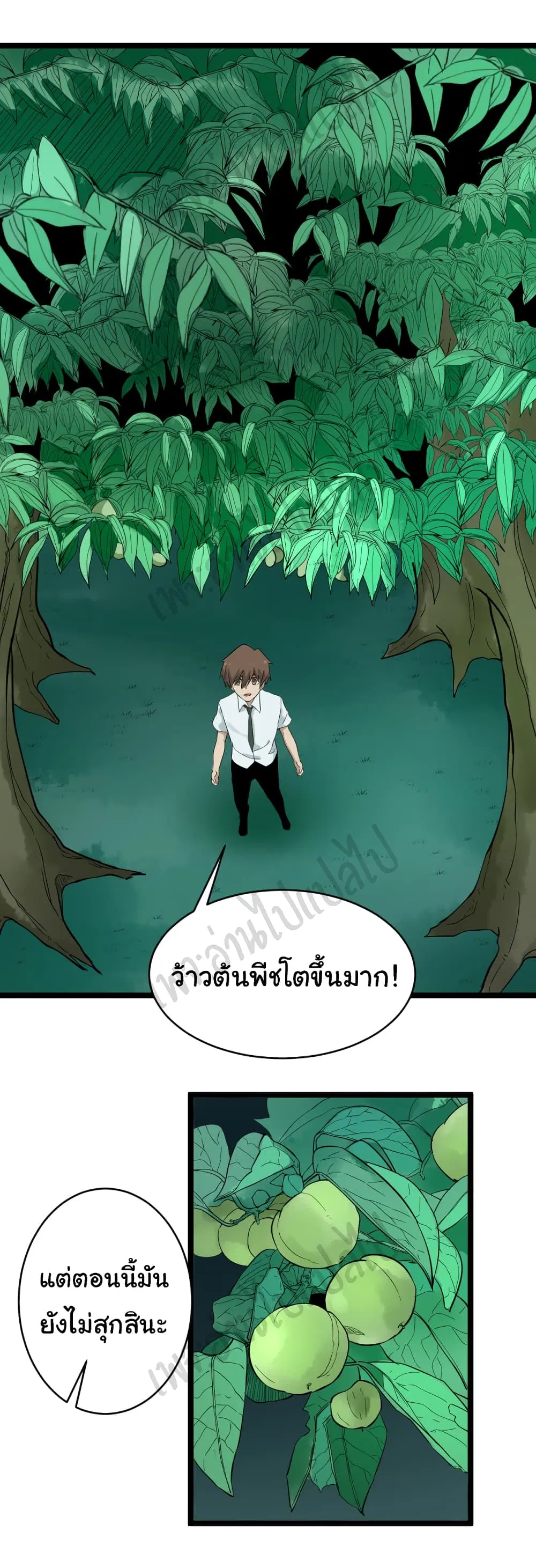 หน้า 3 จาก 26