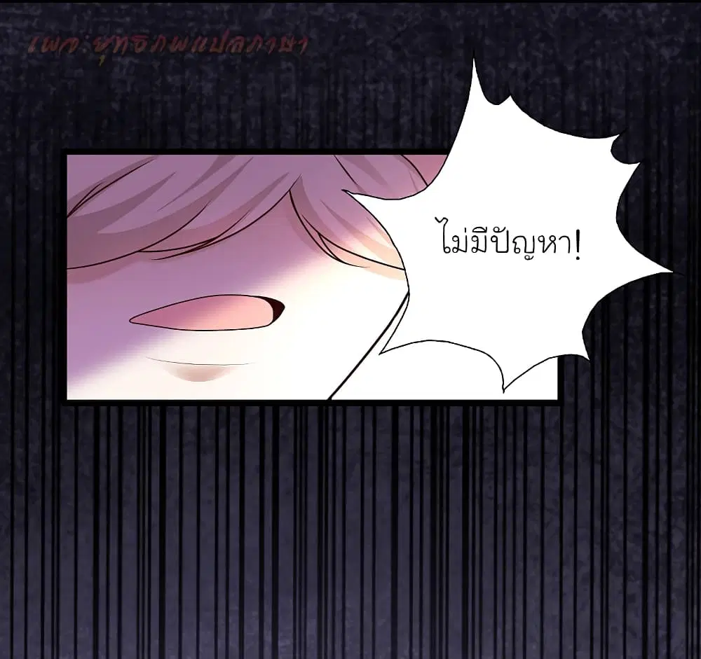 หน้า 4 จาก 50