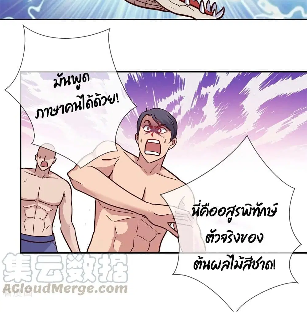 หน้า 5 จาก 47