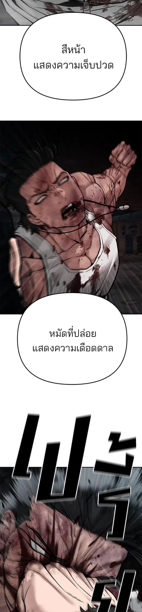 หน้า 24 จาก 75