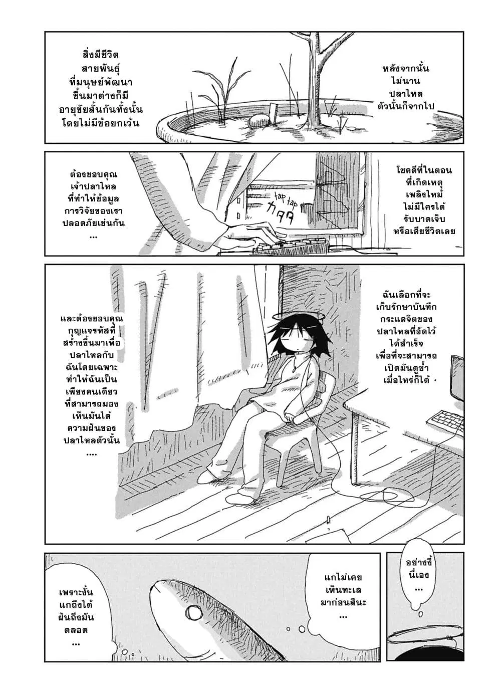 หน้า 33 จาก 34