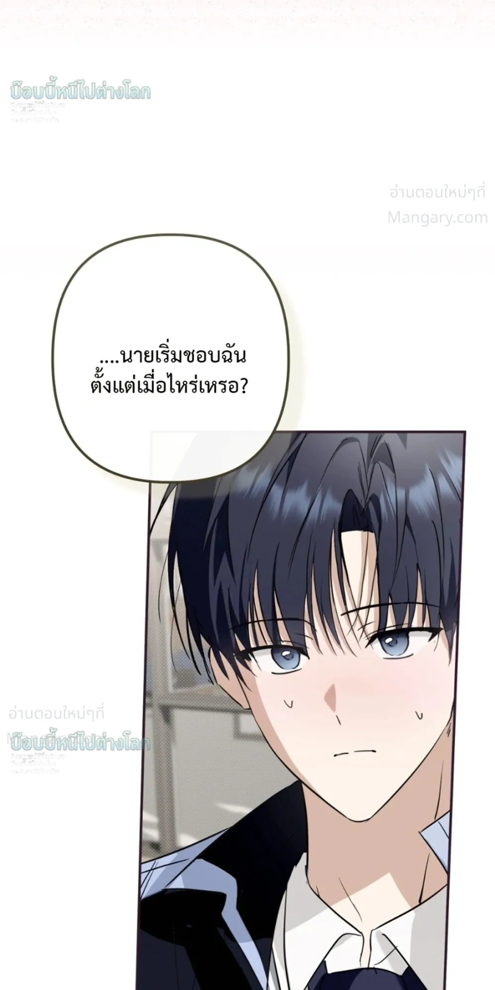 หน้า 13 จาก 42