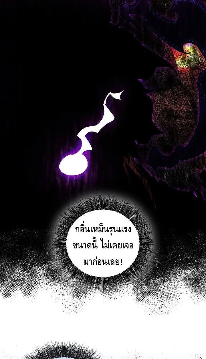 หน้า 8 จาก 50