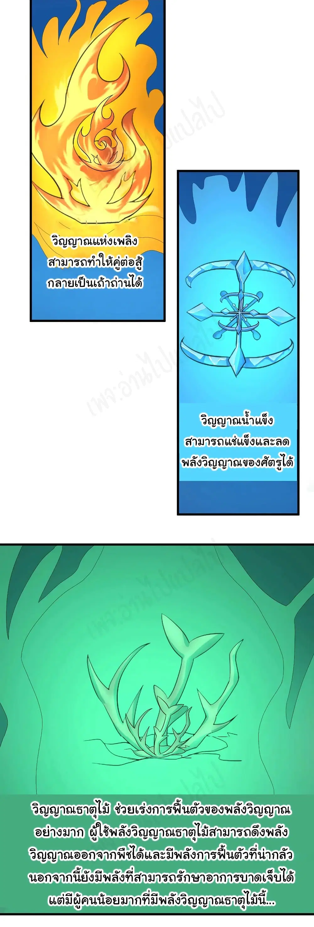 หน้า 24 จาก 29
