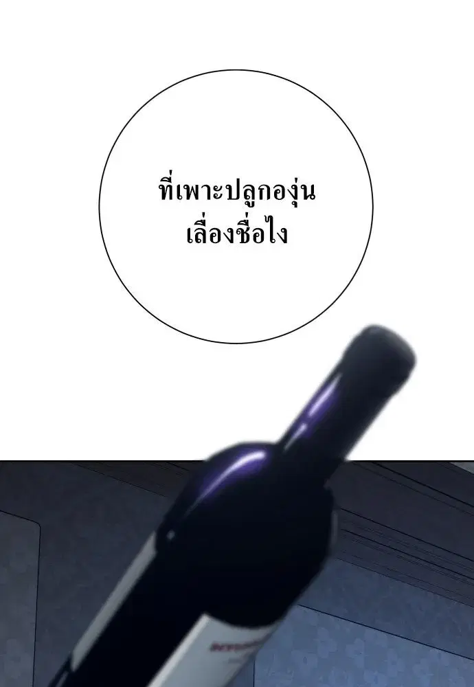 หน้า 185 จาก 202