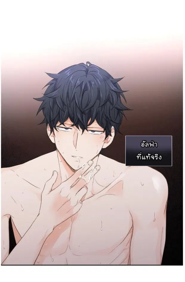 หน้า 25 จาก 37