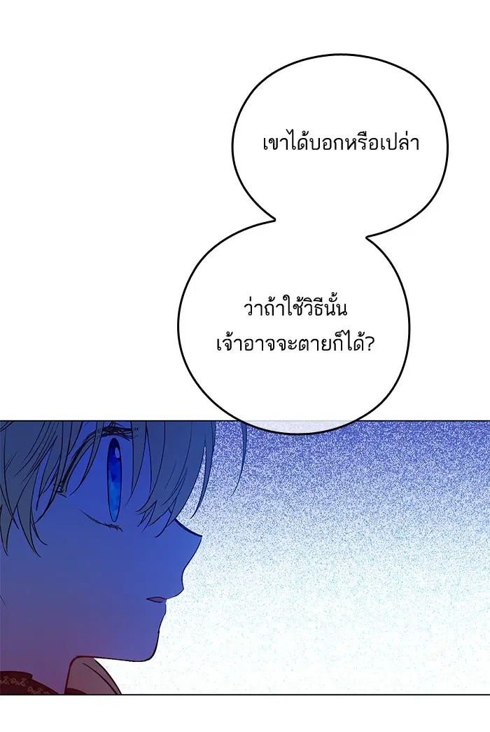 หน้า 29 จาก 96