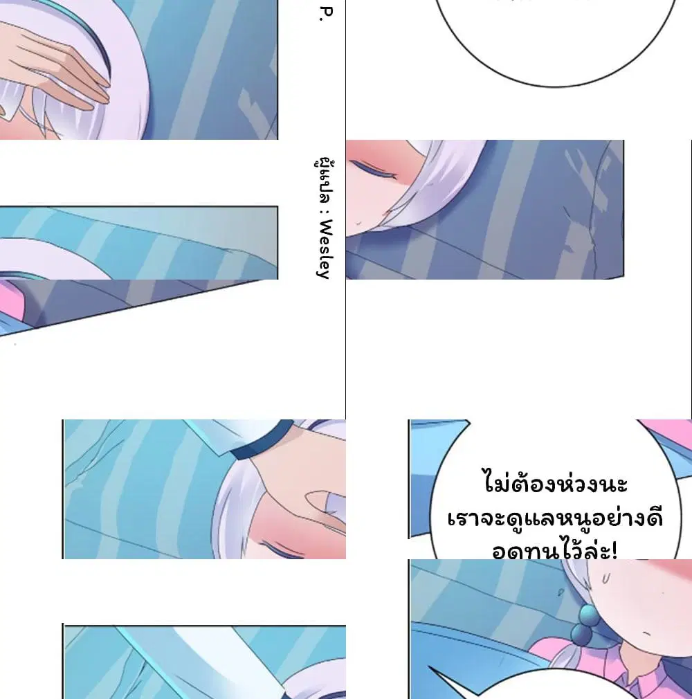 หน้า 3 จาก 13