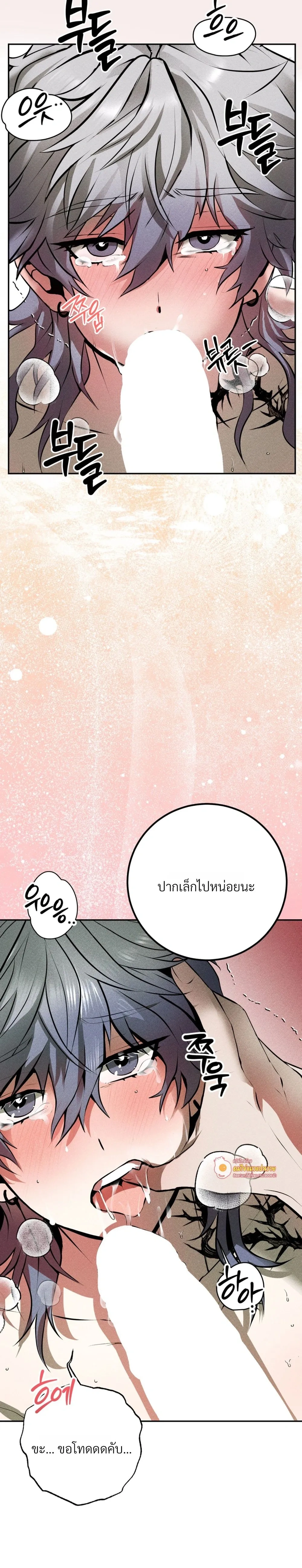 หน้า 16 จาก 26
