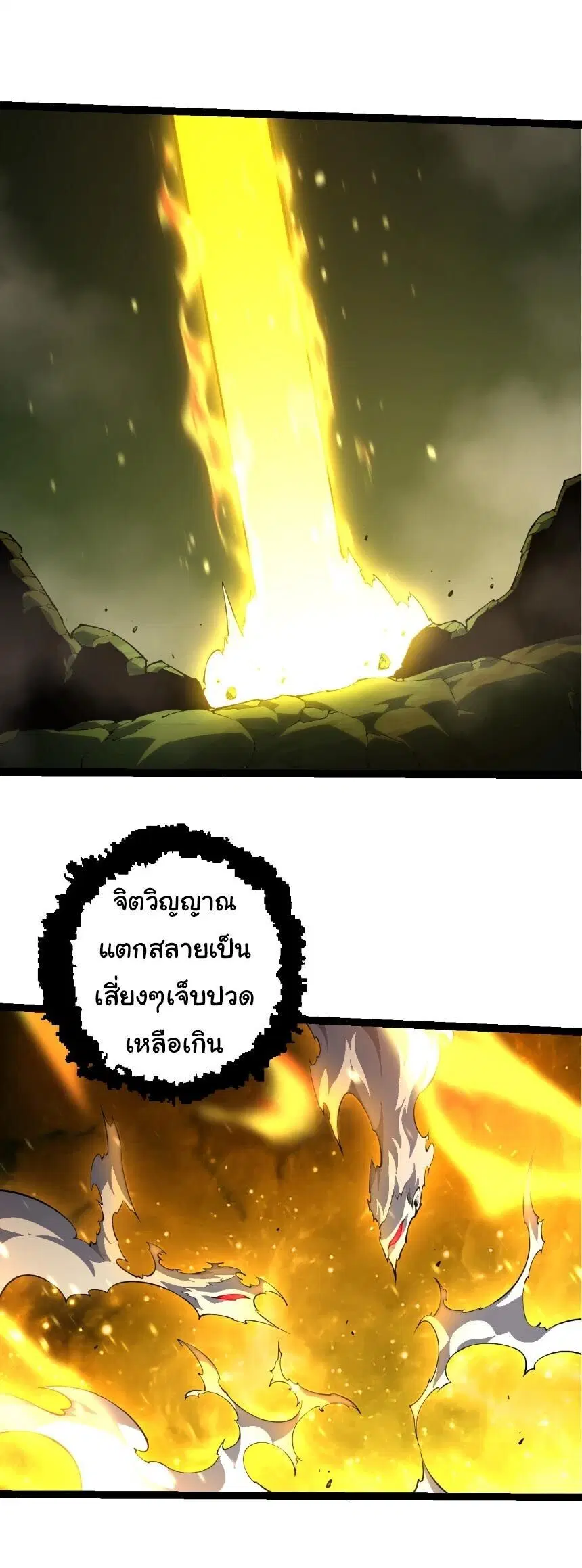 หน้า 1 จาก 25