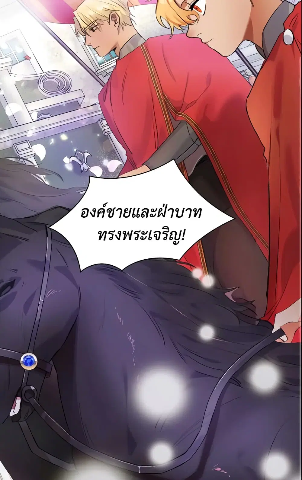 หน้า 26 จาก 41