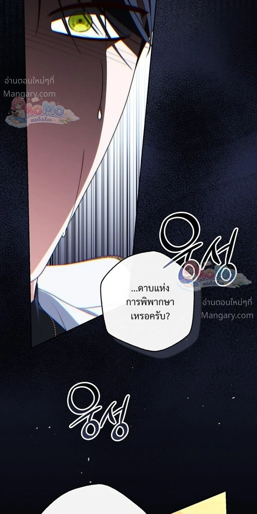 หน้า 29 จาก 51