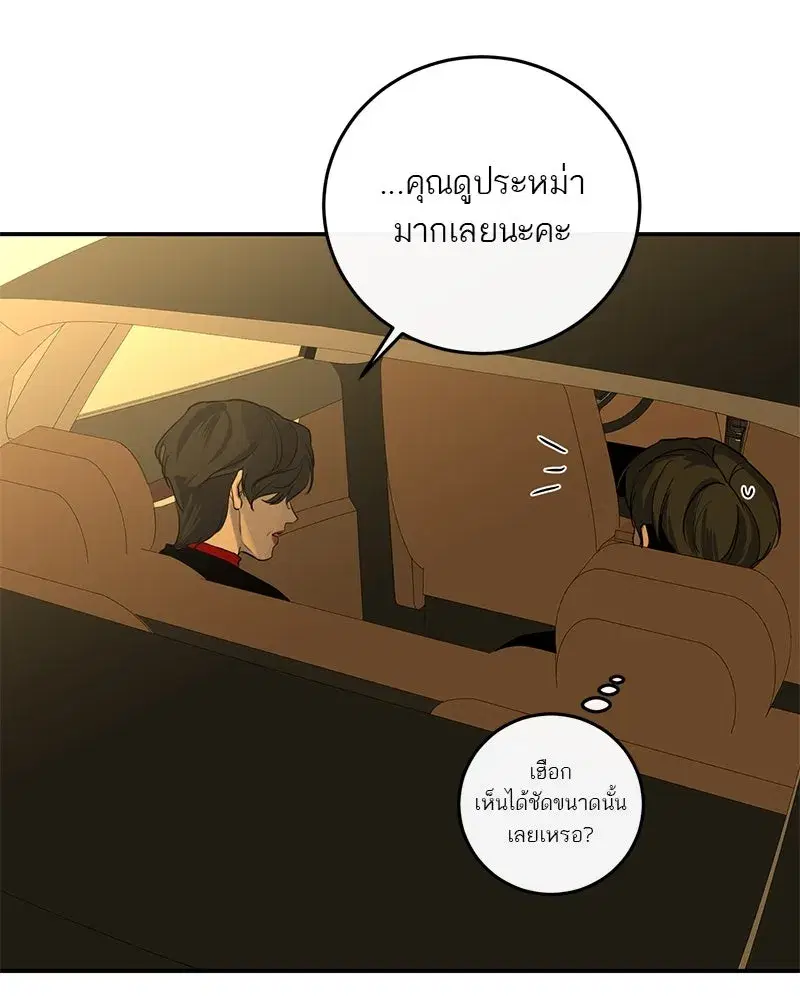 หน้า 52 จาก 113