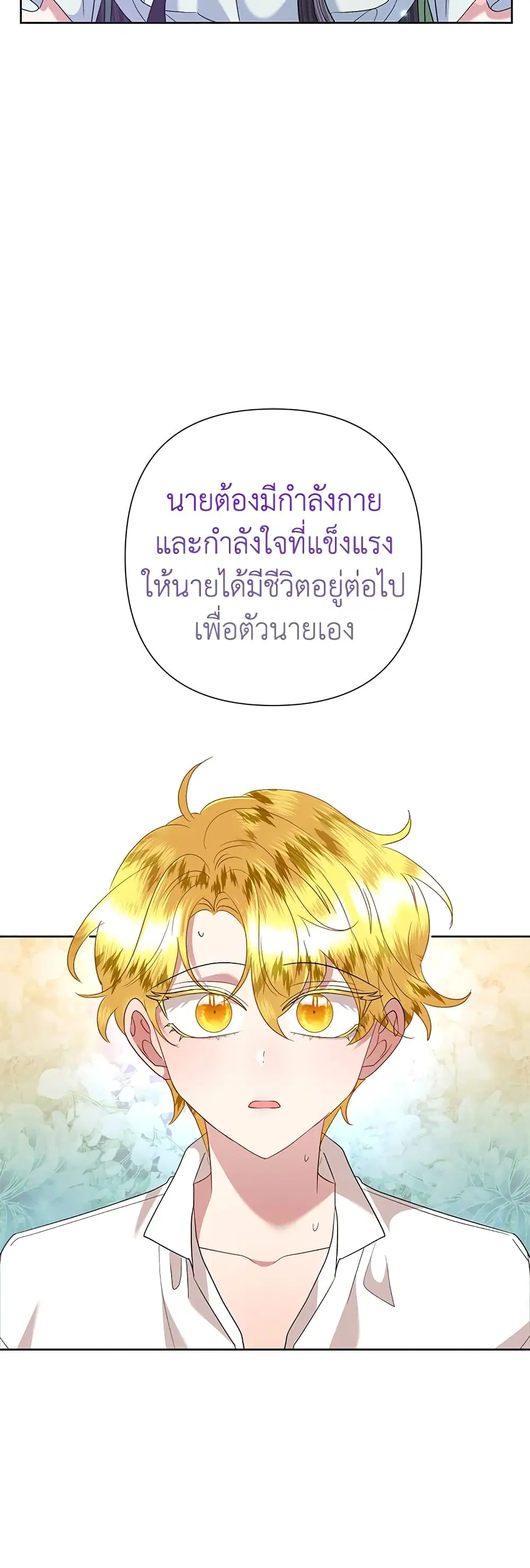 หน้า 28 จาก 43