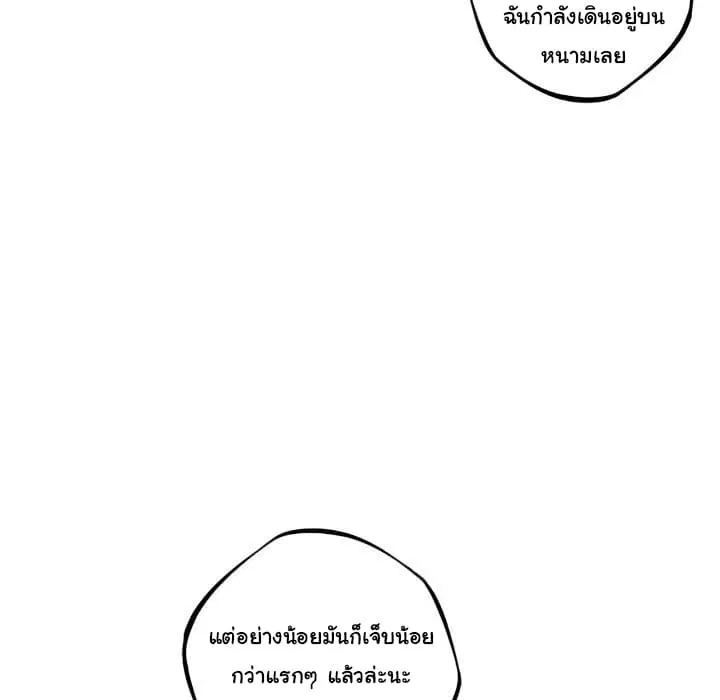 หน้า 36 จาก 105