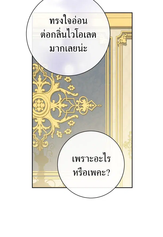 หน้า 61 จาก 185