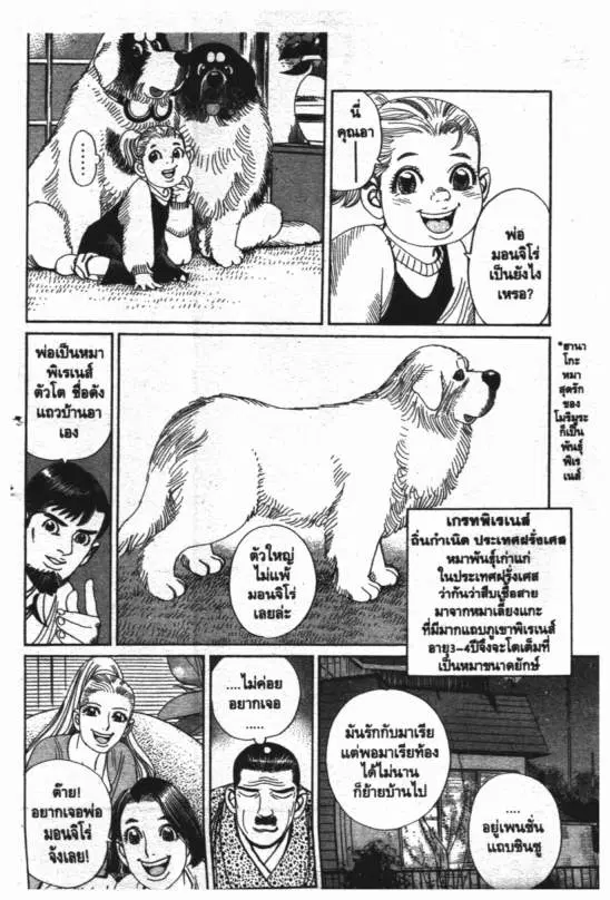 หน้า 7 จาก 20