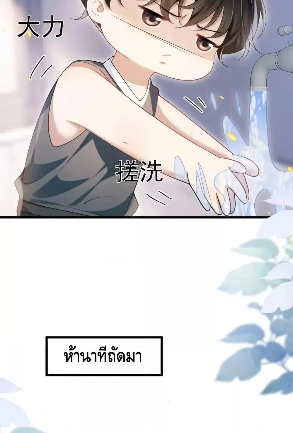 หน้า 29 จาก 42