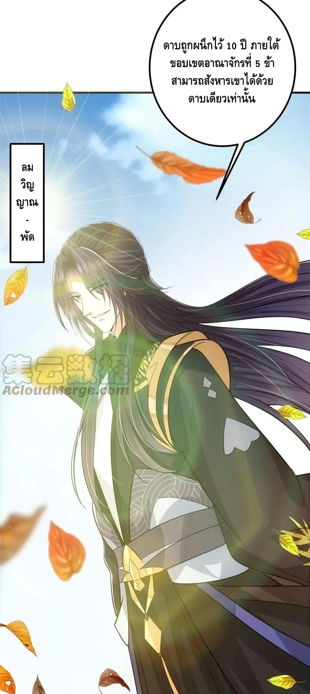 หน้า 5 จาก 42