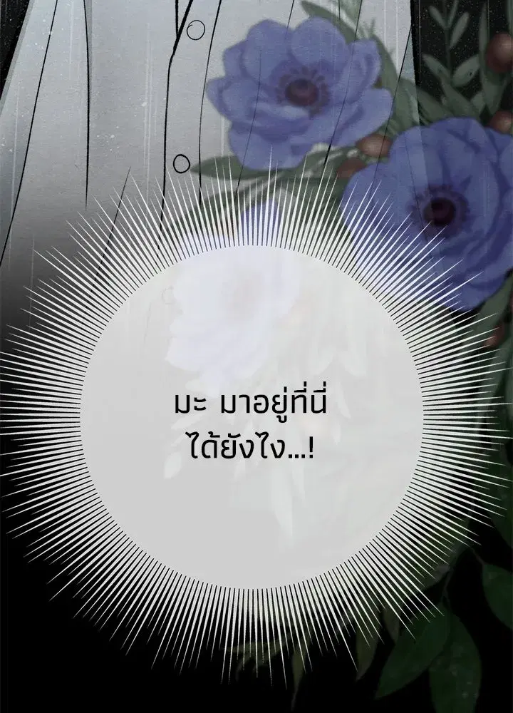 หน้า 31 จาก 165