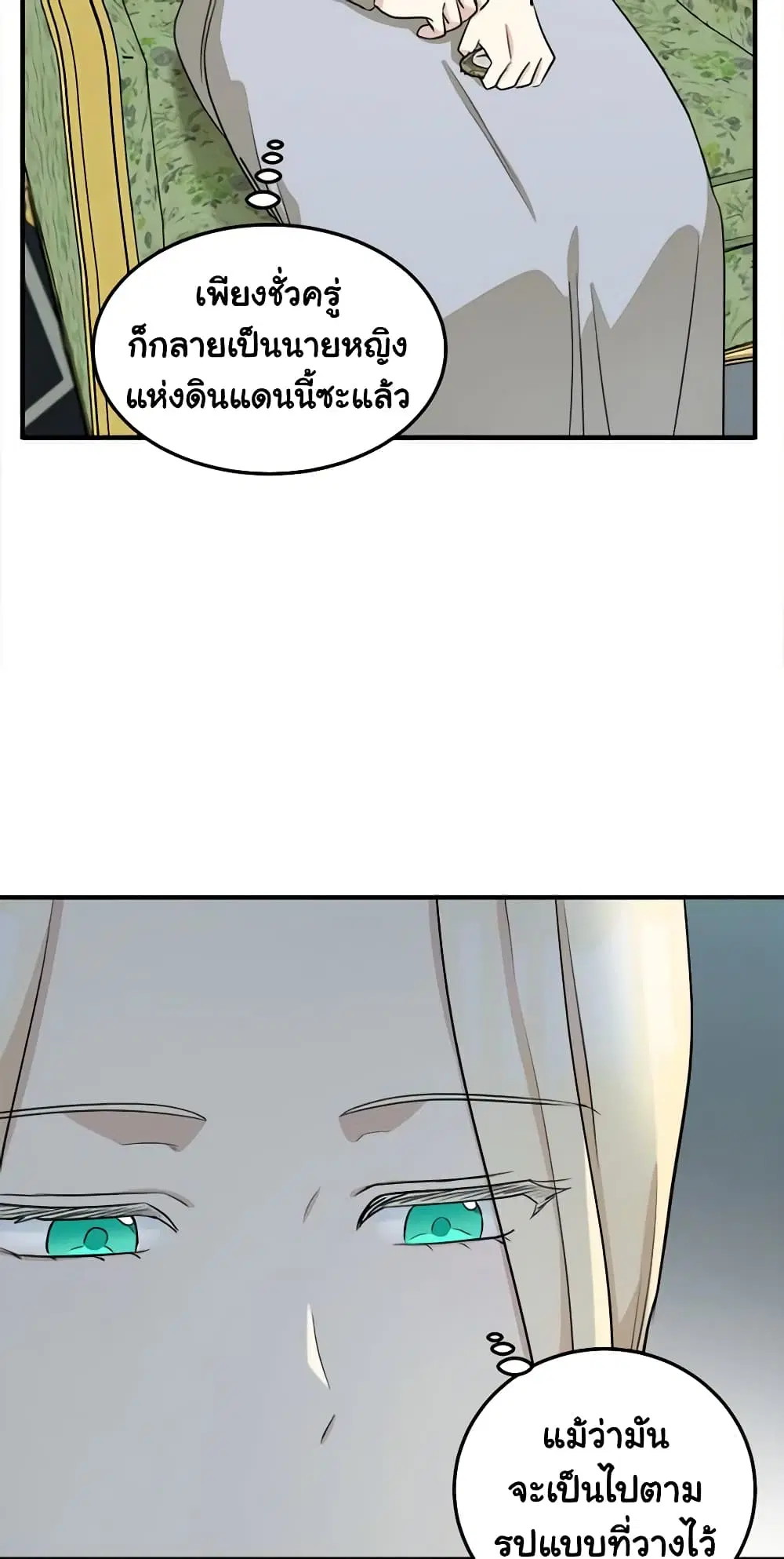 หน้า 31 จาก 51