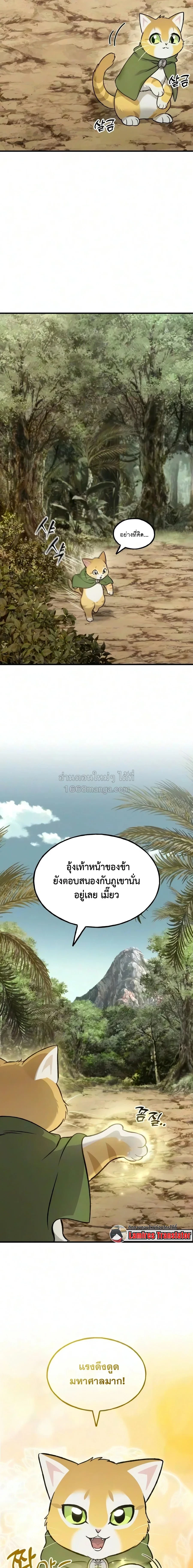 หน้า 17 จาก 25