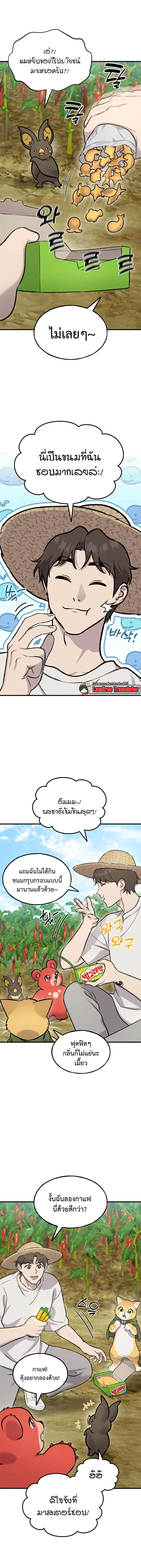 หน้า 17 จาก 27