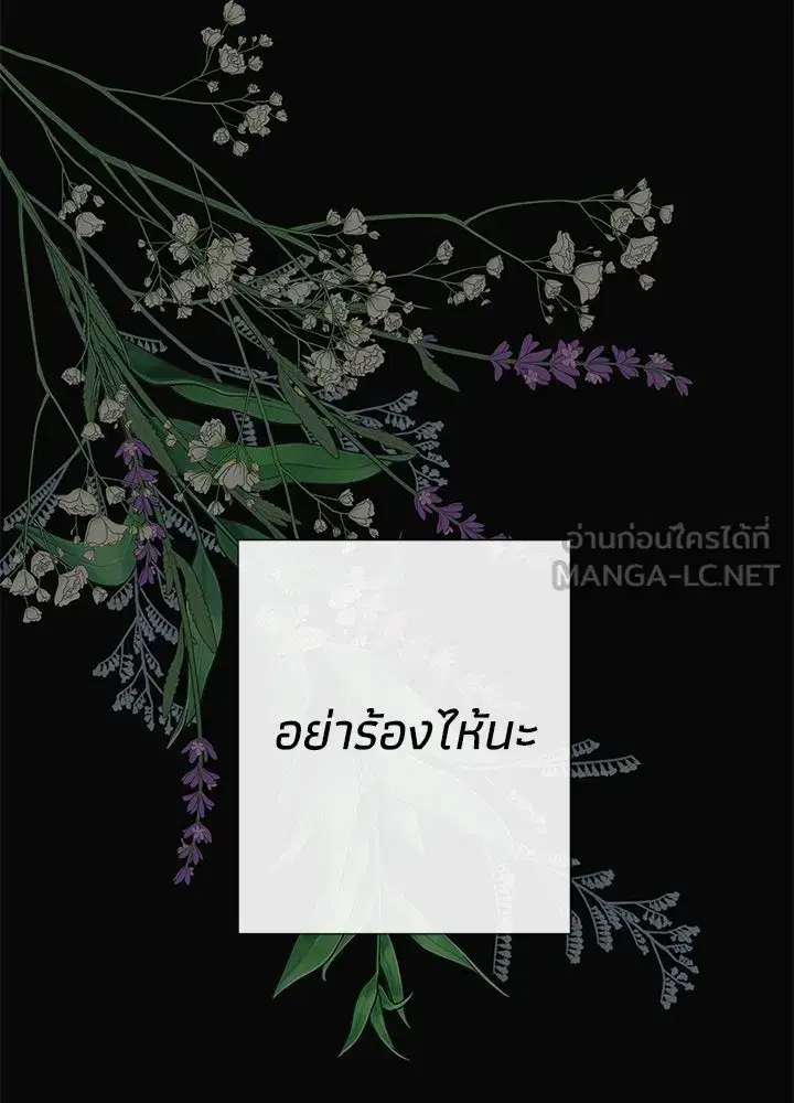 หน้า 33 จาก 116