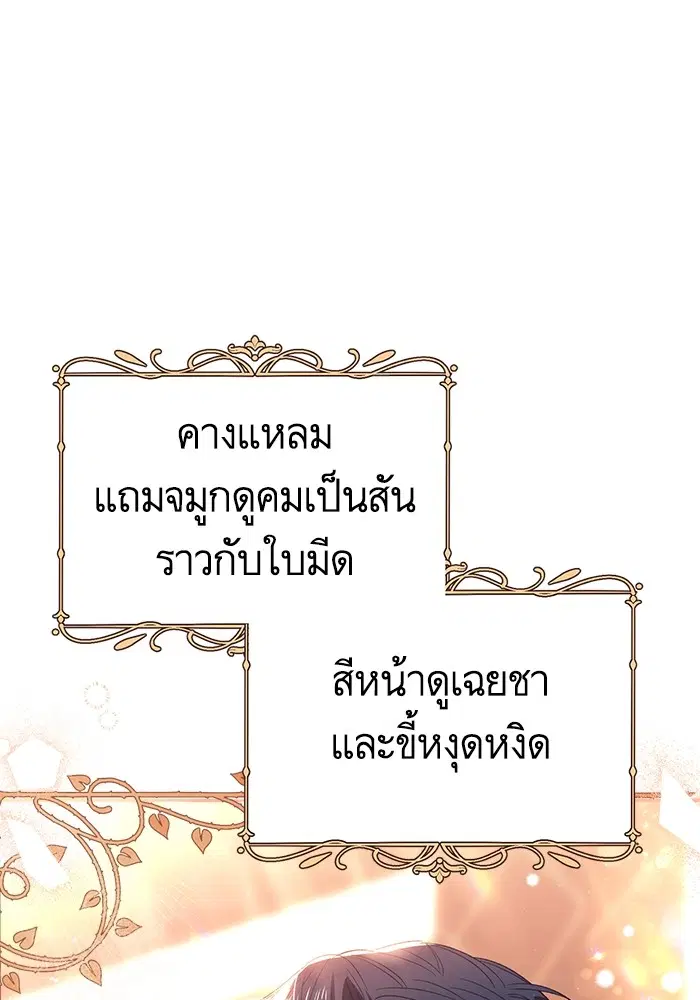 หน้า 33 จาก 126