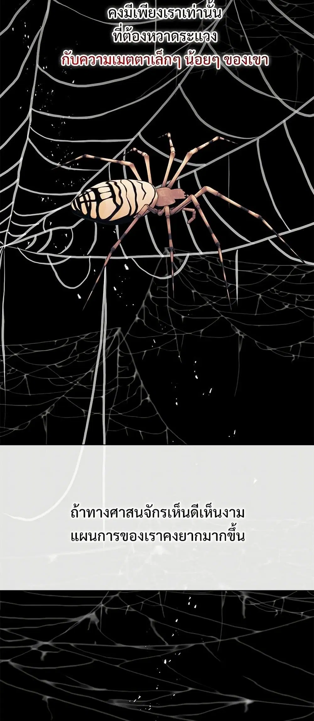 หน้า 17 จาก 36