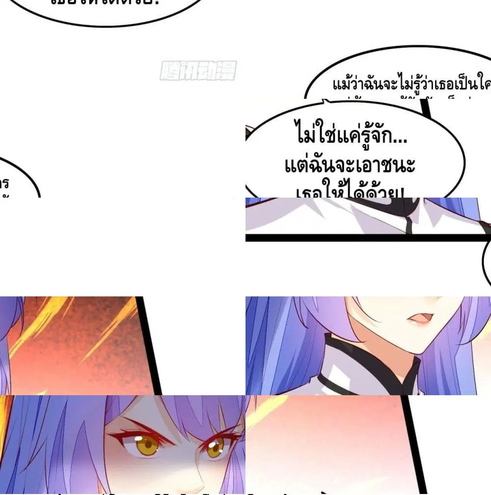 หน้า 11 จาก 13