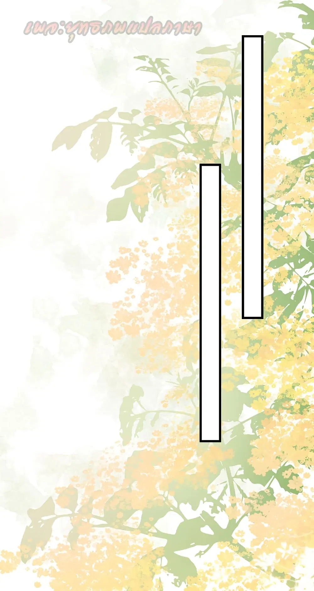 หน้า 9 จาก 41