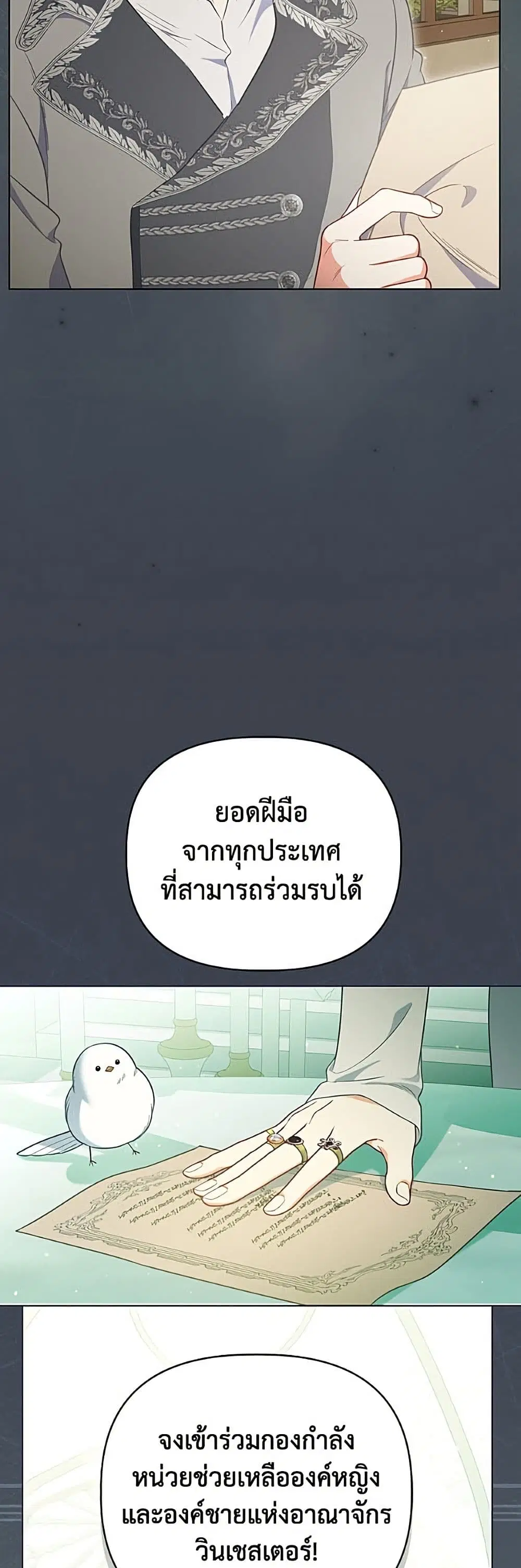 หน้า 48 จาก 52