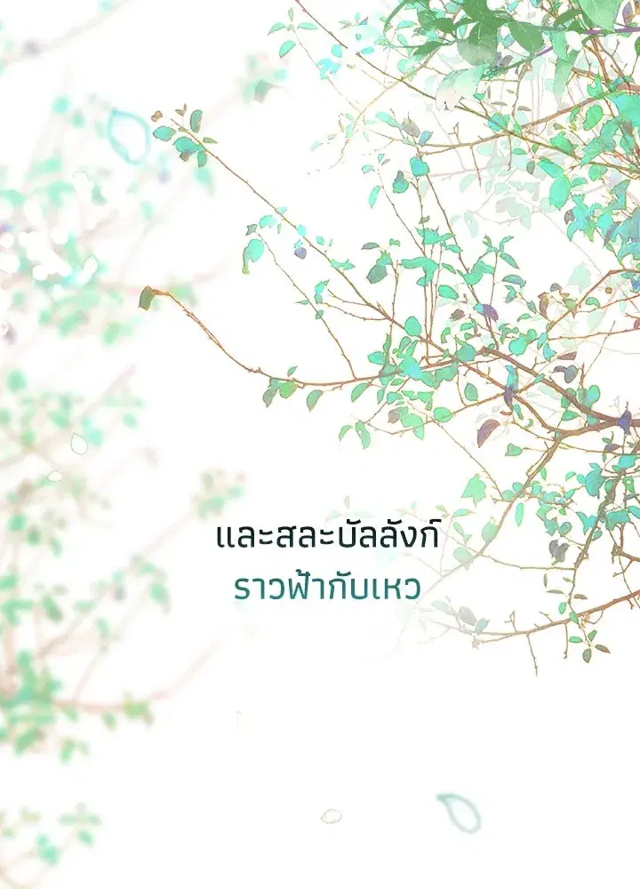 หน้า 55 จาก 166