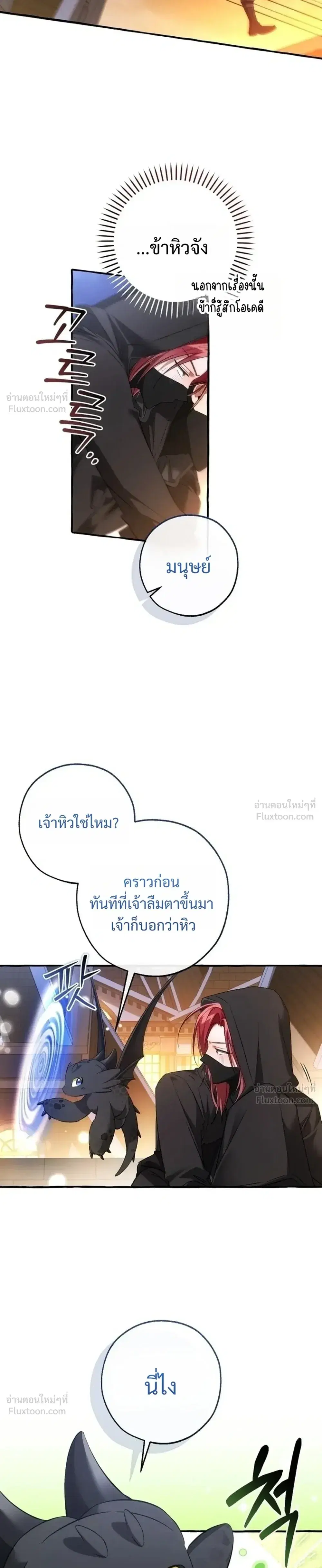 หน้า 29 จาก 37