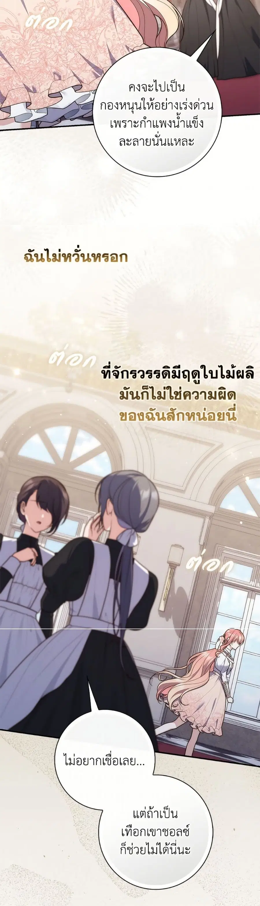 หน้า 23 จาก 52