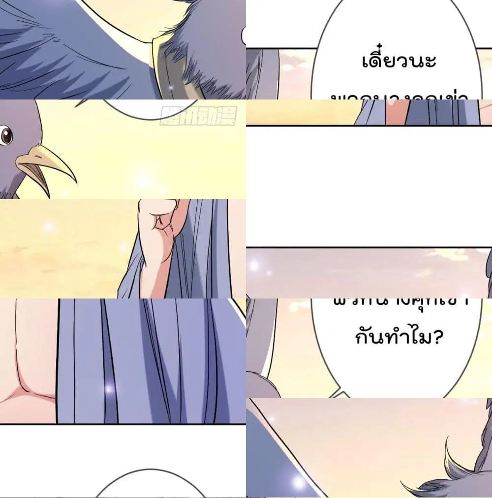 หน้า 13 จาก 14