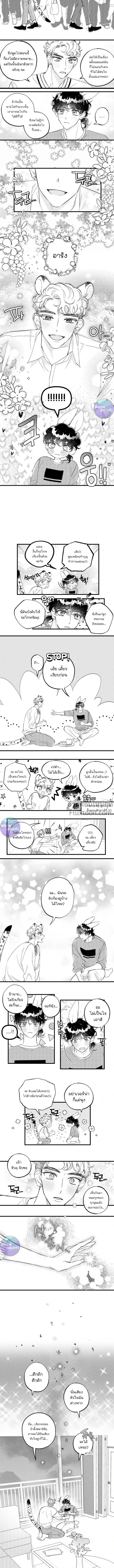 หน้า 5 จาก 6