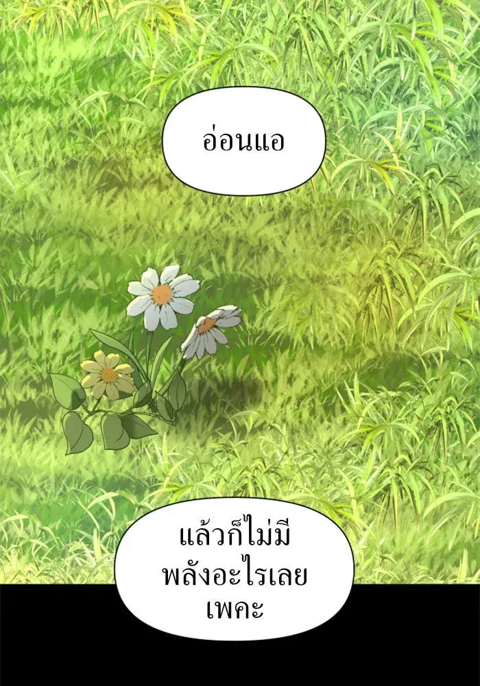 หน้า 145 จาก 165