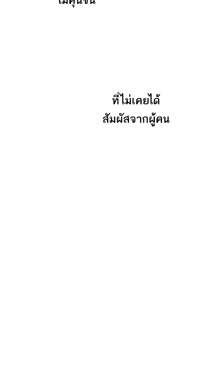 หน้า 47 จาก 98